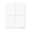 Blank W2 Sheets 4UP w/Instructions