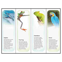 Animal Printable Bookmarks™ Template for Microsoft Publisher