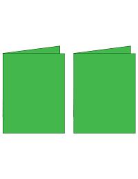 Note Cards - Holly Green (2UP) 3
