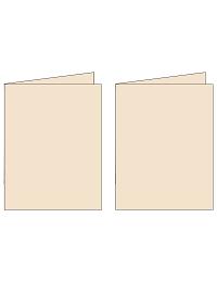Note Cards - Classy Cream (2UP) 3