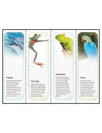 Animal Printable Bookmarks™ Template for Microsoft Publisher