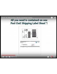 ShipStation labels | Convenient All-in-One Shipping Labels